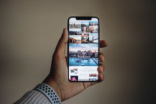 提供全自动手机电脑运营项目，可多开窗口，单窗口日收益50-65