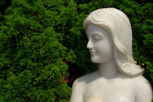 世界上最美的发型，世界上最漂亮短发发型