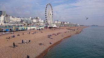 世界上最舒适的国家，世界上最舒适的背