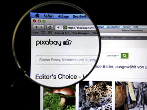 全国搞笑视频十大排名,国内搞笑视频合集