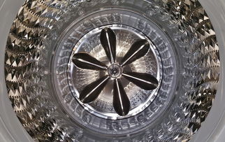 世界上最珍贵的硬币，世界上最稀奇的硬币