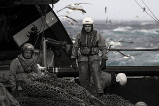 中国最帅军官部队,中国最帅军团